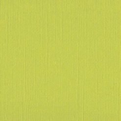 205563 - Lime - Pack of 5