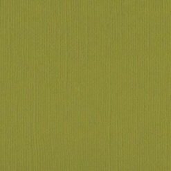 205560 - Wasabi - Pack of 5