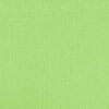 205531 - Green Melon - Pack of 5