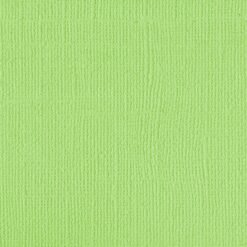 205531 - Green Melon - Pack of 5