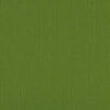 205558- Asparagus - Pack of 5