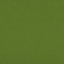 205558- Asparagus - Pack of 5