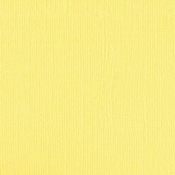 204428 - Canary - Pack of 5