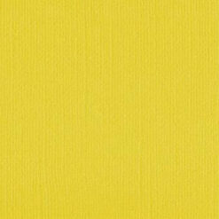 204425 - Wattle - Pack of 5