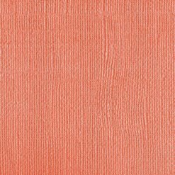 202255 - Chestnut Rose - Pack of 5