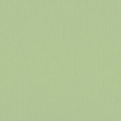 205580 - Mint Tulip - Pack of 5