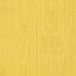 204433 - Daffodil - Pack of 5