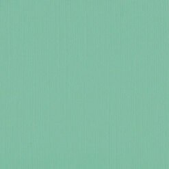 205592 - Magic Mint - Pack of 5