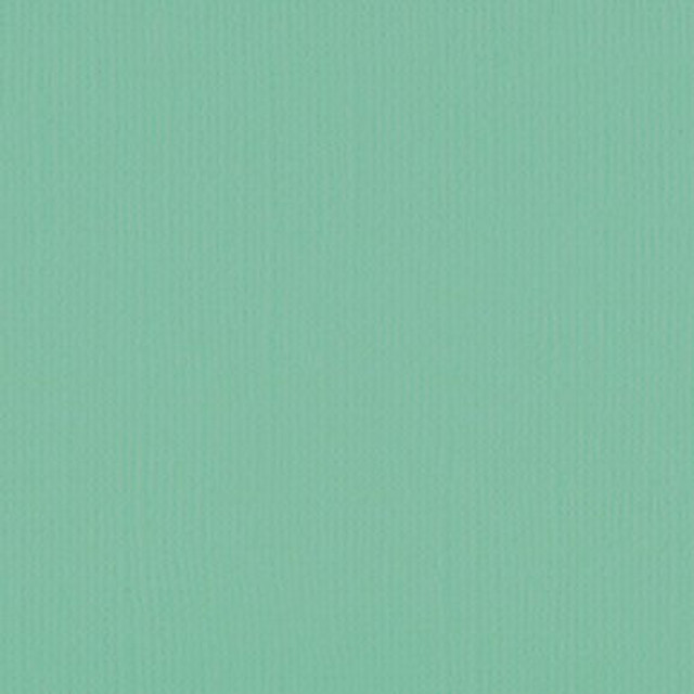 205592 - Magic Mint - Pack of 5