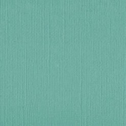 205589 - Jungle - Pack of 5