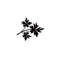 LAV305 - Mini Leaf 1 Miniature