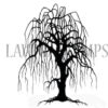 LAV296 - Weeping Willow Tree