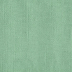 205585  - Gum leaf