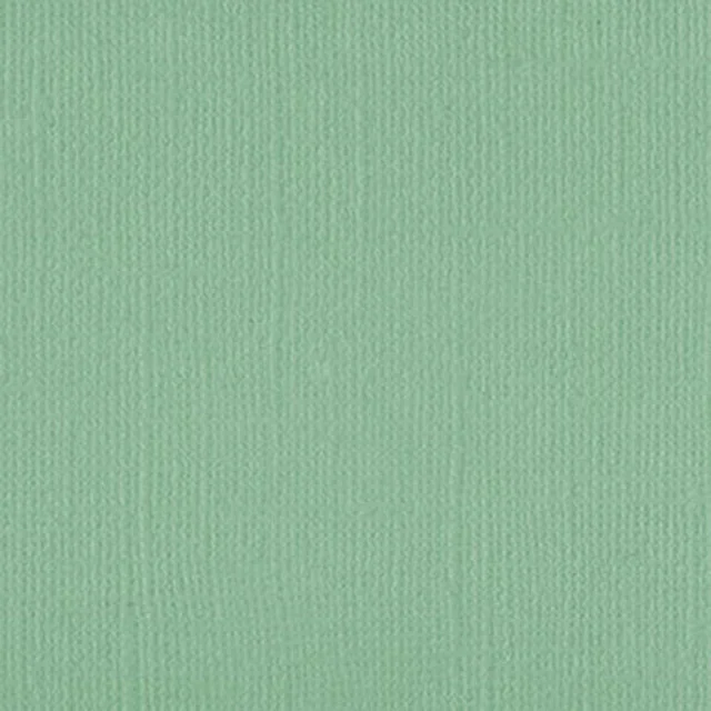 205585 - Gum leaf