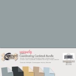 Wings and Wheels 12 X 12 Co-ordinating Cardstock - Due 5/8/26