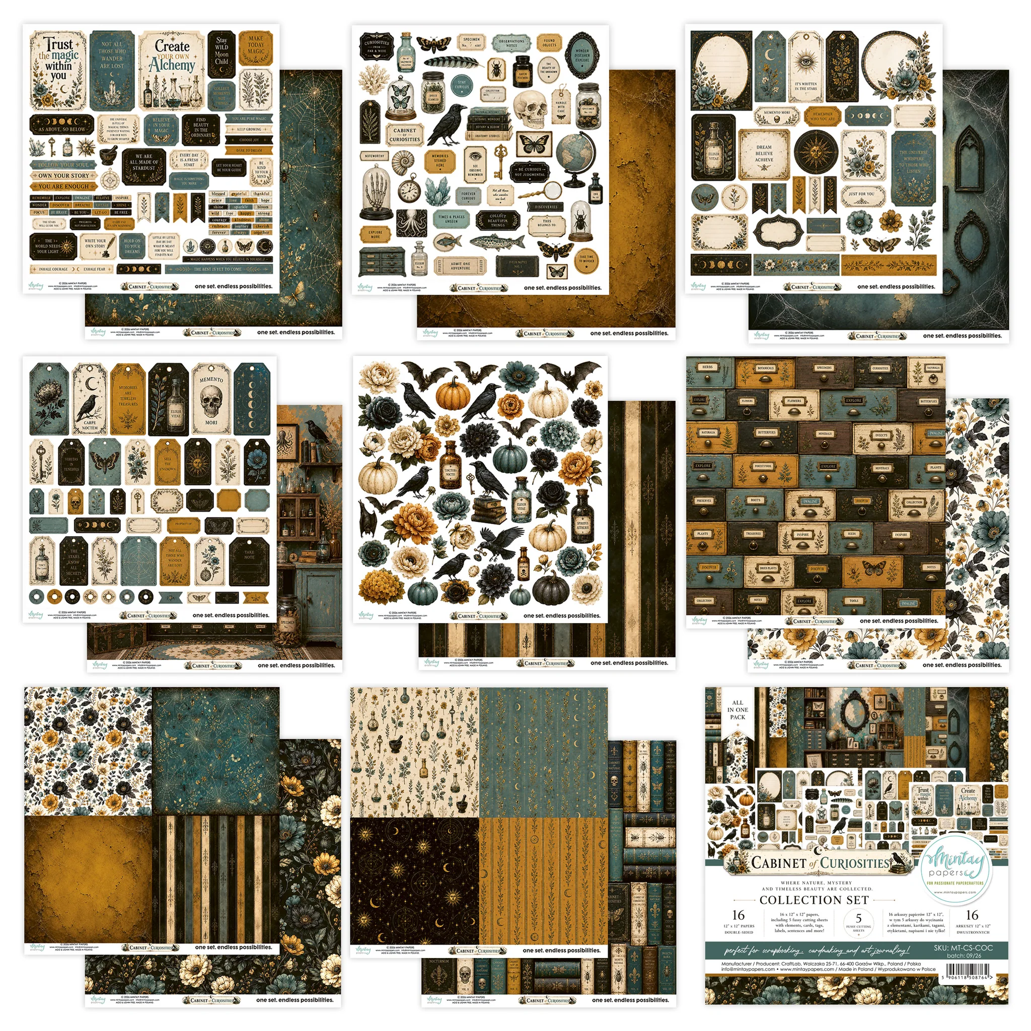Mintay - CABINET OF CURIOSITIES - 12 X 12 COLLECTION SET - Image 2